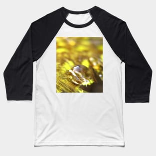 Fields of Gold Baseball T-Shirt